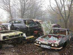 abandoned vehicle yard